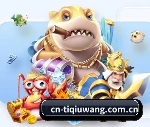 体球网的故事 - 体育资讯内容服务