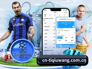 体球网 APP